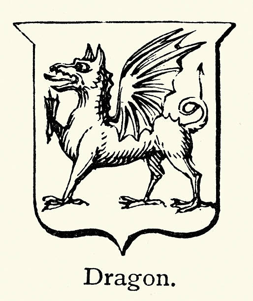 History of heraldry, Shield, Dragon, Vintage illustration