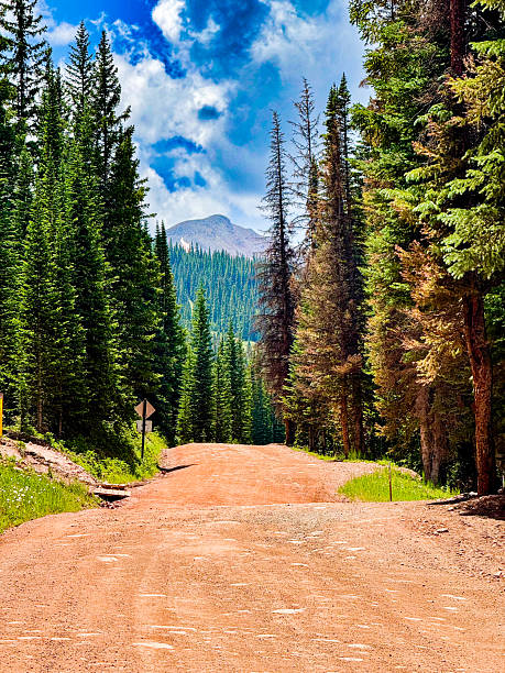 istock Red dirt mountain road leads toward distant alpine peak through tall pine forest at Copper Mountain, Colorado — forward motion 2245662217