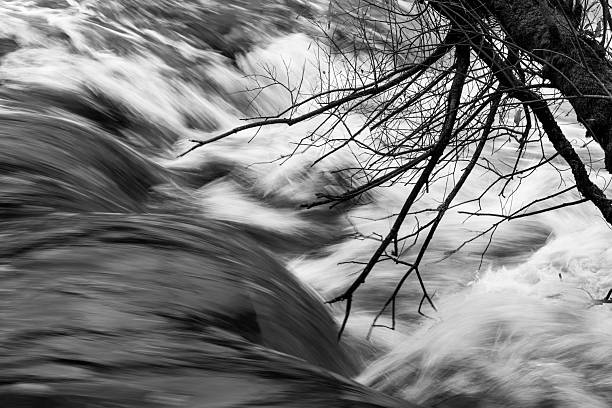 istock Black and white view of flowing river water framed by moss covered tree branches, Keld, Swaledale, Yorkshire Dales National Park, North Yorkshire, England, Britain 2245665530