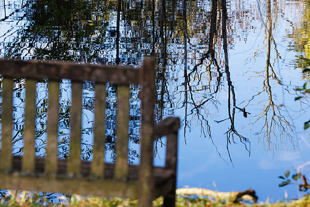 Bench by a lake with reflections in a forest in autumn