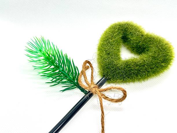istock Heart-Shaped Green Grass Decoration with String Bow and Green Leaf Accent on White Background for Creative and Eco-Friendly Projects 2245674542