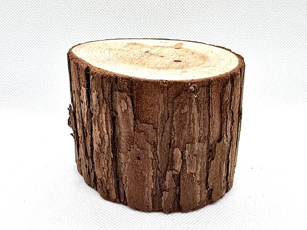 istock Natural Wooden Log Slice with Textured Bark Surface for Rustic Decoration, Crafting Projects, and Nature-Inspired Designs 2245674778