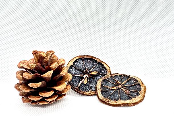 Decorative Pine Cone and Dried Citrus Slices on a White Background for Craft and Nature-themed Projects