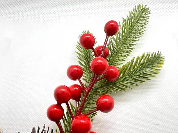 istock Vibrant Red Berries with Green Pine Needles on White Background, Holiday Decoration, Botanical Composition, Festive Botanical Arrangement 2245674864