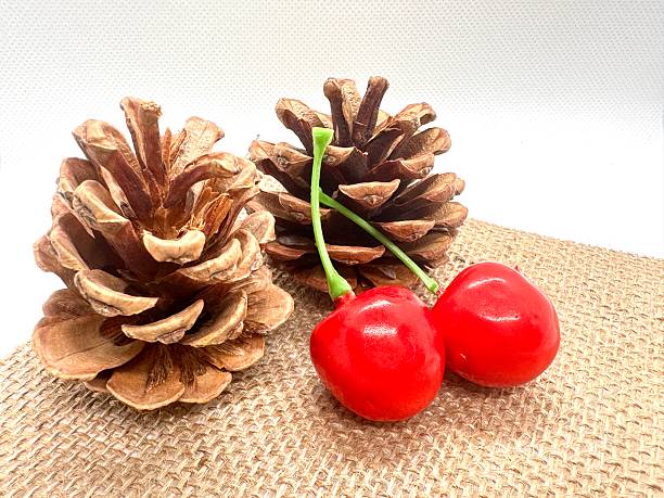 istock Fresh Red Cherries and Pine Cones on Natural Burlap Fabric Creating a Rustic and Organic Still Life Arrangement for Home Decor and Culinary Inspiration 2245674913