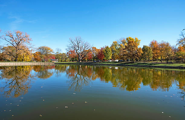 Large urban park pond with treeline of autumn foliage with reflections on water.