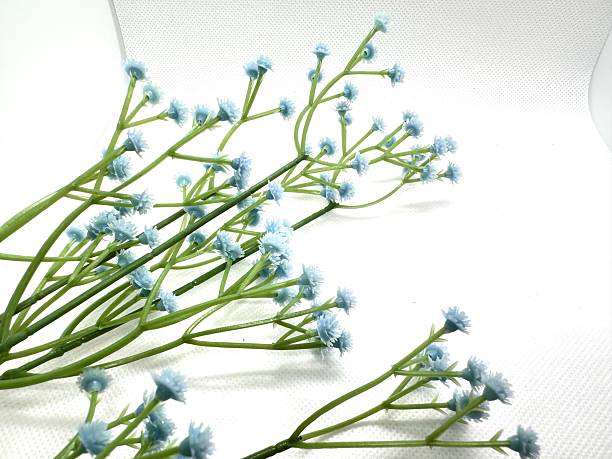 istock Soft Blue Decorative Flowers on a White Background Creating a Calm and Tranquil Atmosphere for Weddings or Other Celebratory Events 2245676182