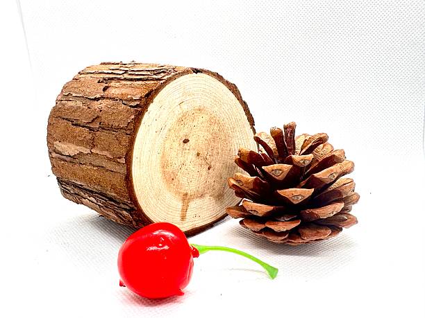 Natural Elements and Textures with Wooden Log, Pine Cone, and Red Cherry on White Background for Organic, Rustic, and Nature-Themed Designs and Projects