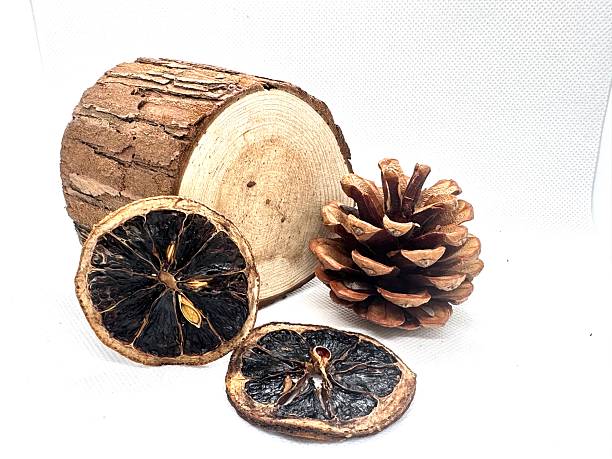 istock Natural Elements with Dried Citrus and Pine Cone on White Background for Creative and Rustic Decor Ideas 2245676198
