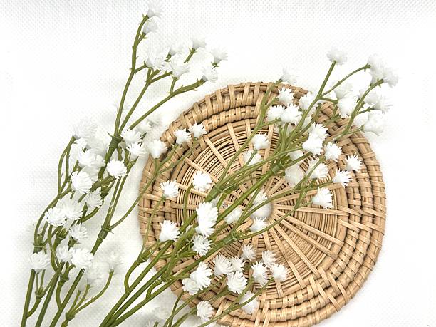 istock Delicate White Flowers Arranged on a Natural Woven Basket Against a Soft White Background for Decorative and Natural Aesthetic Visuals 2245676447