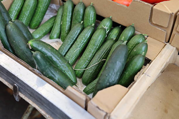 istock Fresh cucumbers displayed in fresh food market 2245677062