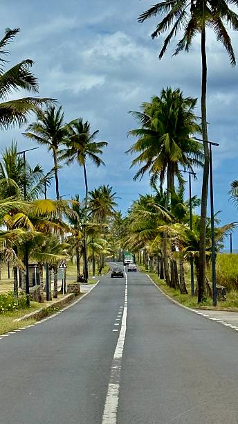 istock The Country Road 2245677847