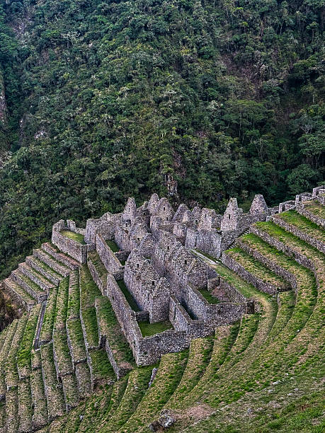 istock Curved terraces and green slopes 2245681650