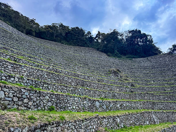 Stone terraces and forest edge stock photo