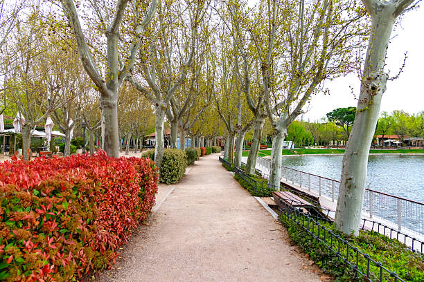 Autumn, forest, El Retiro Park, Madrid, Spain, Europe