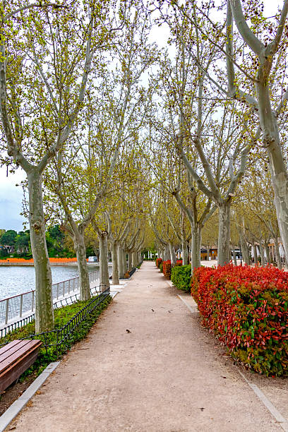 istock Casa De Campo Lake Walkway And Red Bushes 2245684958