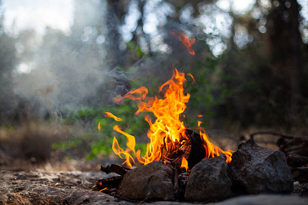 Burning fire place in the wilderness. Bonfire, bright open flame, smoke rises from the fire, daylight. Wild fire with forest background, with no people. Perfect for forest fire danger concept.