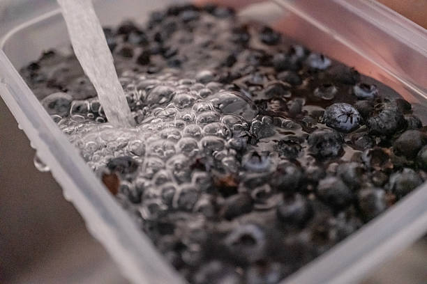 washing blueberries to eat