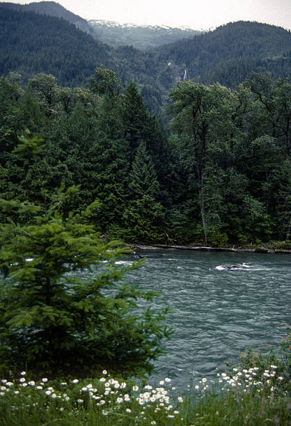 istock North Cascades NP - River - 1989 2245696500