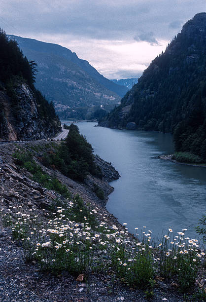 North Cascades Highway - Lake & Flowers  - 1989