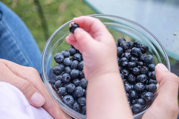 istock baby eating healthily with blueberries 2245696971