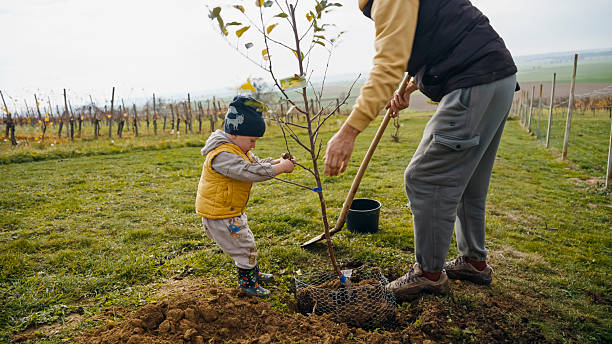 istock Caucasian Father and Son Collaborate While Planting Tree Together 2245700118