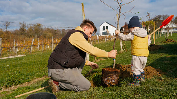 istock Caucasian Man and Young Boy Planting Tree in Vineyard 2245700188