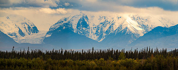 istock Alaska's snow-capped mountains tower over a lush forest. 2245704609