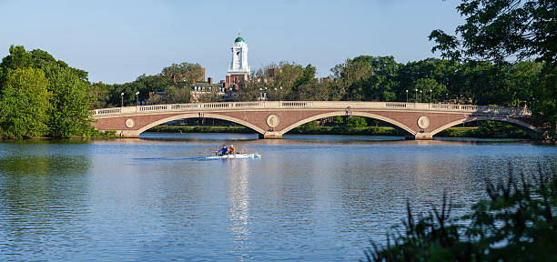 istock Rowers on the Charles River with Weeks Bridge in background 2245704861