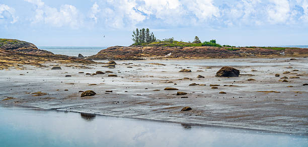 Misty conditions shroud the rugged coastline of the �les de la Madeleine in Quebec, Canada, along the Saint Lawrence River. The rocky shoreline showcases unique geological formations and sparse vegetation characteristic of this region.