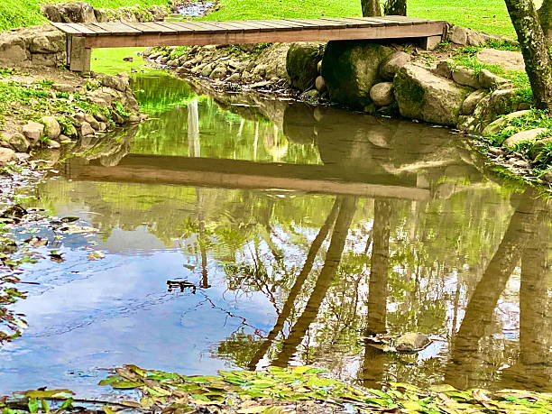 Dongping National Forest Park, Chongming Island, Shanghai
