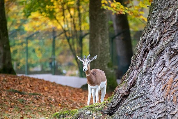 One day at Munich zoo