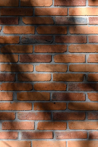 istock Red Brick Wall with Lacy Branch Shadows in Sunlight 2245717674