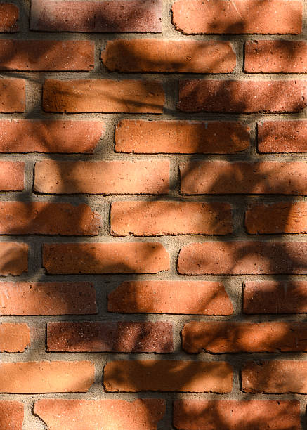 istock Red Brick Wall with Lacy Leaf and Branch Shadows in Autumn Light 2245718802