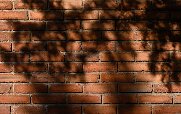 istock Red Brick Wall with Leaf and Branch Shadows in Soft Light 2245720035