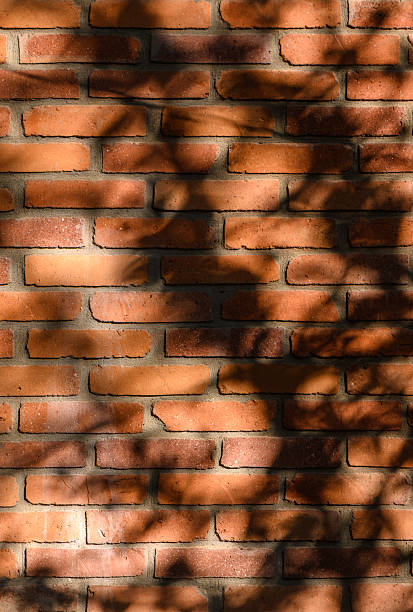 istock Textured Red Brick Wall with Dancing Leaf and Twig Shadows 2245720288