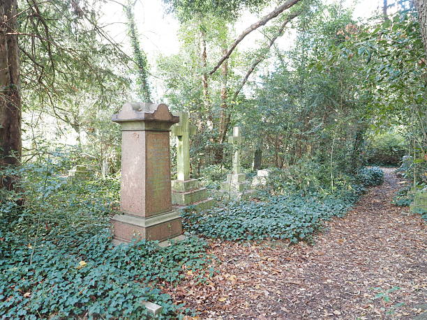 istock Gravestones in a hidden cemetery overgrown with nature 2245720382