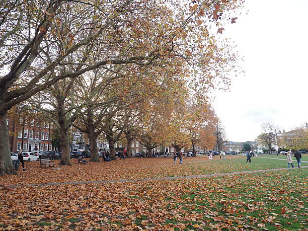 istock Autumn leaves covering Richmond Green 2245720633