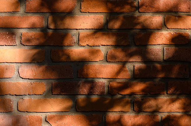 istock Red Brick Wall with Gentle Leaf and Twig Shadows at Sunset 2245721597