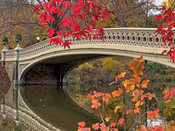 istock Bow bridge in late autumn 2245730472