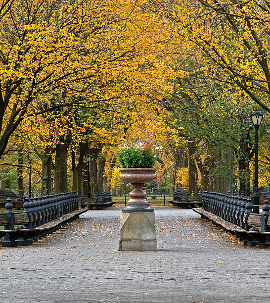 istock Central Park the Mall, Autumn 2245730513