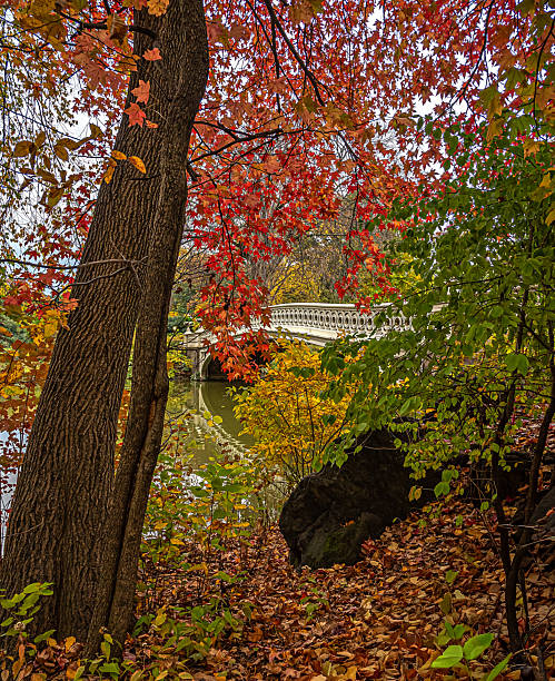 istock Bow bridge in late autumn 2245730550