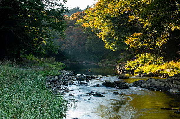 istock Arashiyama Valley, Arashiyama Town, Saitama Prefecture 2245731552
