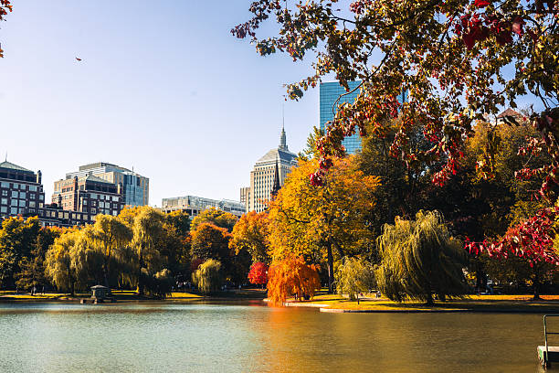 istock Lake in Public Garden 2245735367