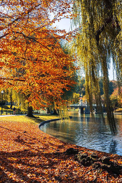 istock Autumn Foilage in Boston 2245735458