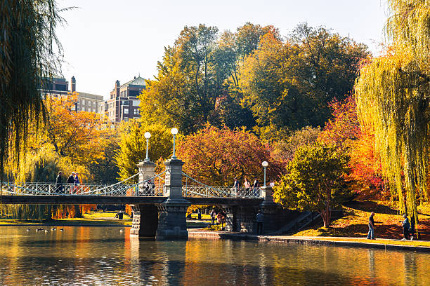 istock Bridge and Lake in Garden 2245735484