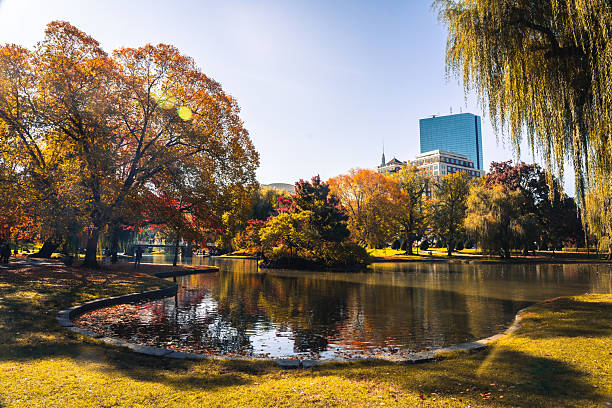istock Lake in Public Garden 2245735508