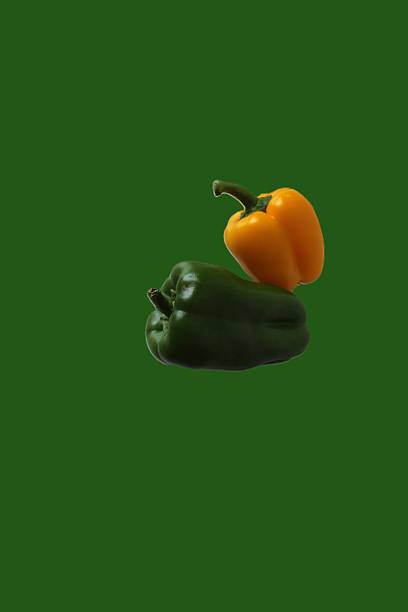 Organic bell peppers in different colors for food preparation
