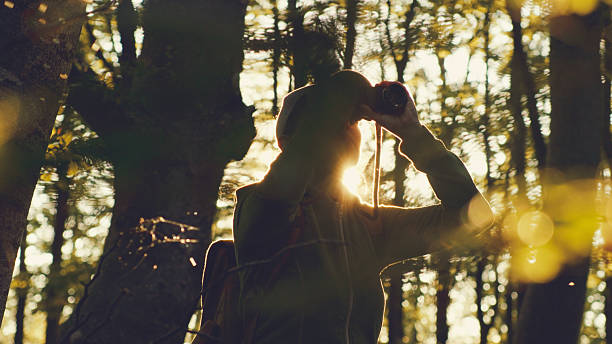 istock Ecologist Birdwatching In Lush Green Forest In Spring 2245742311