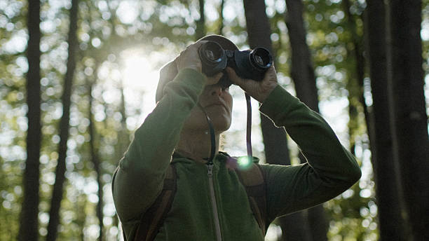 istock Ecologist Birdwatching In Lush Green Forest In Spring 2245742335